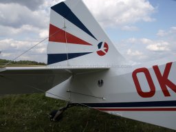 Bellanca of Czech Aeroclub (3)